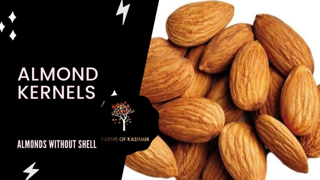 Incredible Almonds Guide | 10+ Health Benefits of this Amazing Fruit Almond Kernels- Almonds without shell