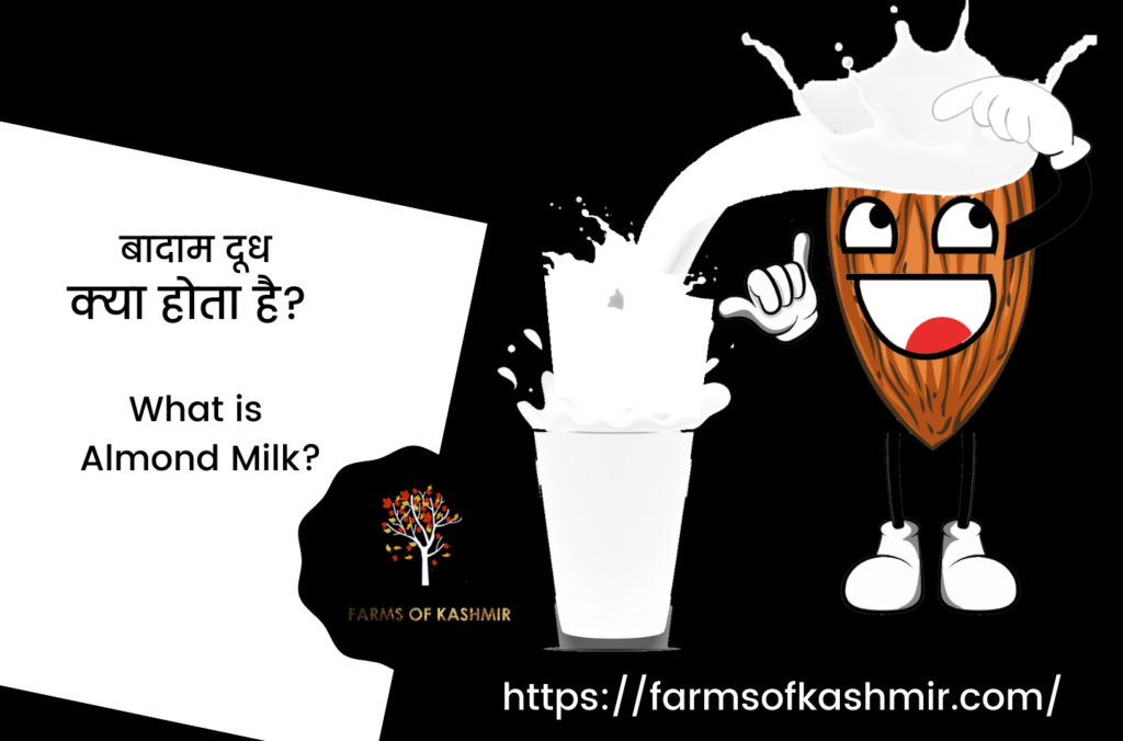 बादाम दूध क्या होता है? | What is Almond Milk?