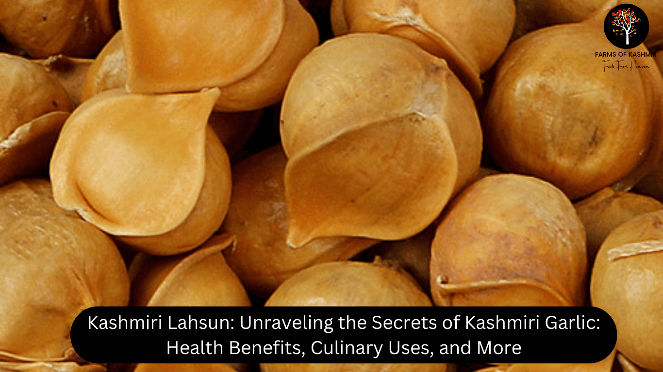 Kashmiri Lahsun Unraveling the Secrets of Kashmiri Garlic Health Benefits, Culinary Uses, and More